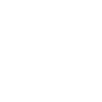 certification icon