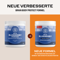 VIMERGY Vitamins & Supplements Blueberry with Silica Poweder
