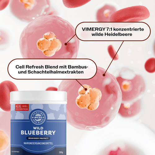 VIMERGY Vitamins & Supplements Blueberry with Silica Poweder