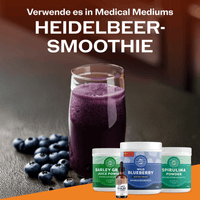 VIMERGY Vitamins & Supplements Blueberry with Silica Poweder