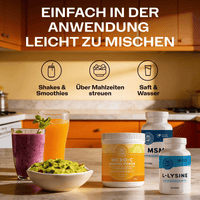 Collagen Replenish KIT VIMERGY Supplements Vitamins vitamin c msm l-lysine