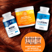 Collagen Replenish KIT VIMERGY Supplements Vitamins vitamin c msm l-lysine