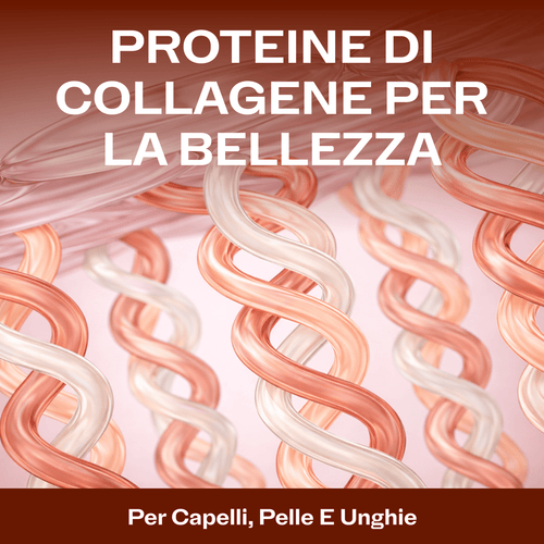 Collagen Replenish KIT VIMERGY Supplements Vitamins vitamin c msm l-lysine