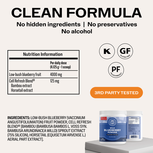 VIMERGY Vitamins & Supplements Blueberry with Silica Poweder
