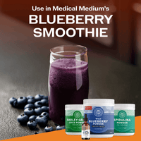VIMERGY Vitamins & Supplements Blueberry with Silica Poweder